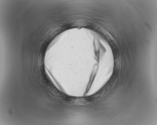 X0000115820517200912111254