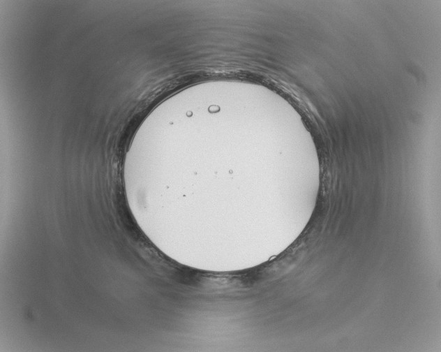 X0000115820521200912111254