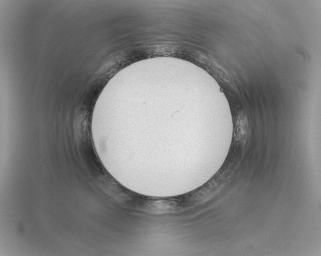 X0000115820522200912111254