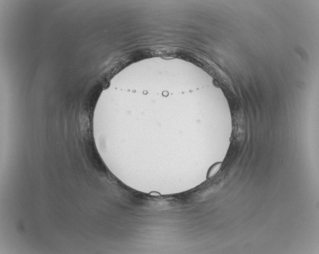 X0000115820523200912111254