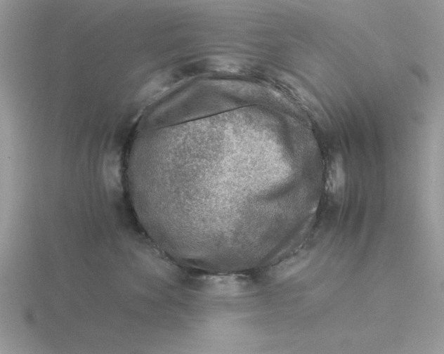 X0000115820524200912111254