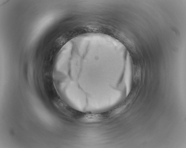 X0000115820526200912111254