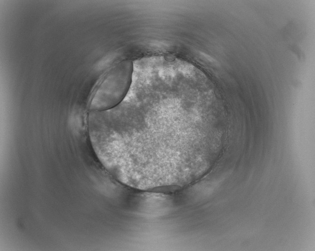 X0000115820528200912111254