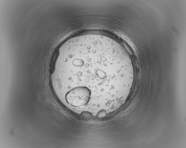 X0000115820529200912111253