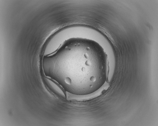 X0000115820534200912111253