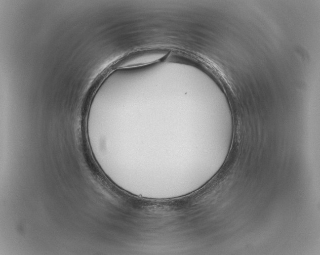 X0000115820535200912111253