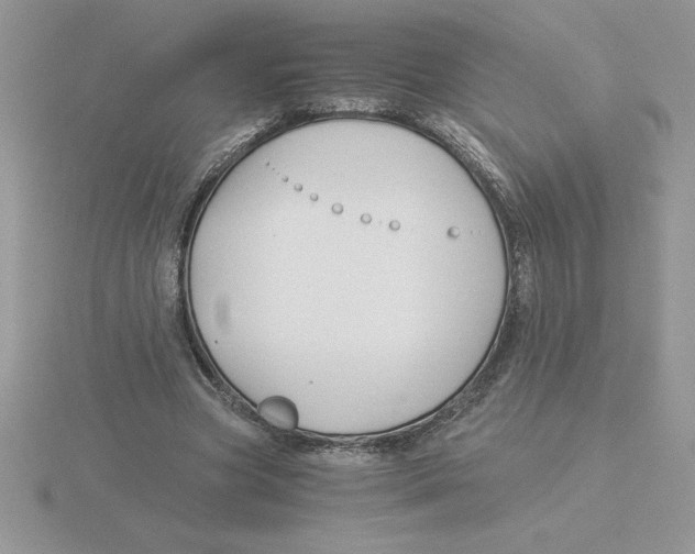 X0000115820537200912111253