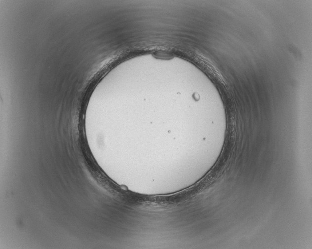 X0000115820538200912111253