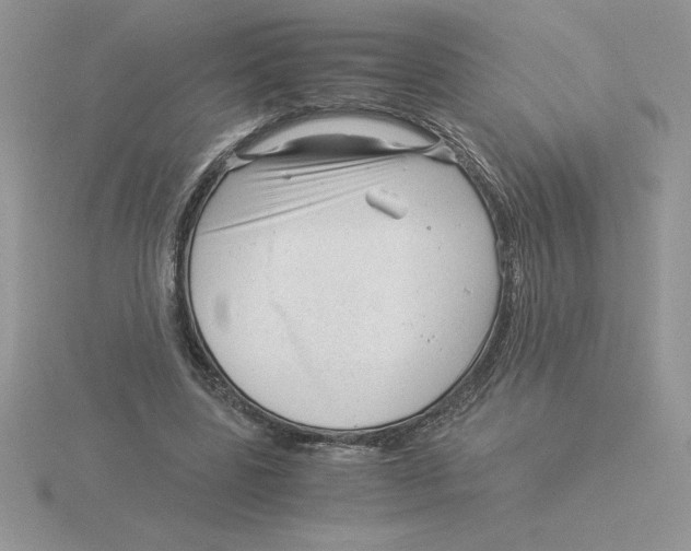 X0000115820539200912111253