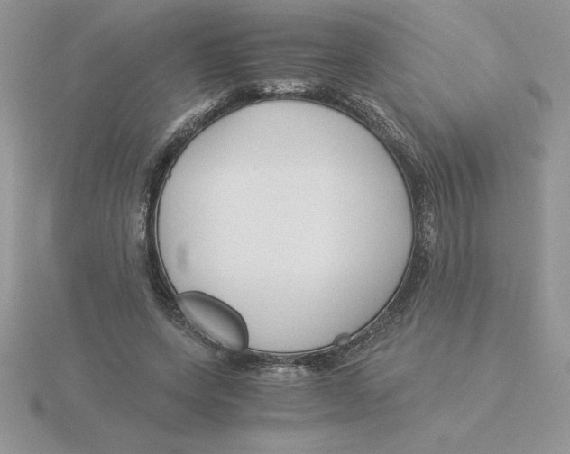 X0000115820543200912111253