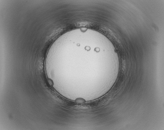 X0000115820545200912111253