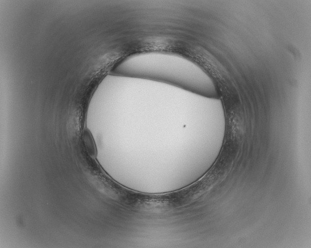 X0000115820546200912111253