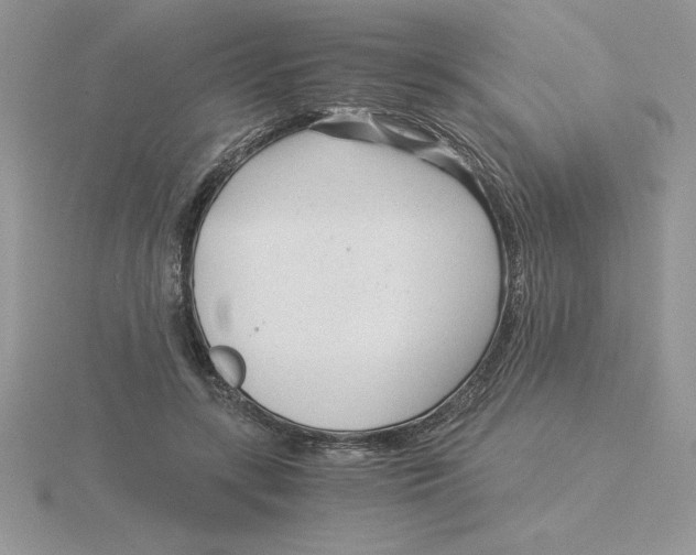 X0000115820547200912111253