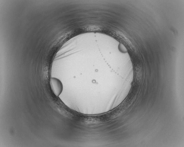 X0000115820549200912111253