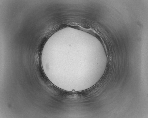 X0000115820551200912111253