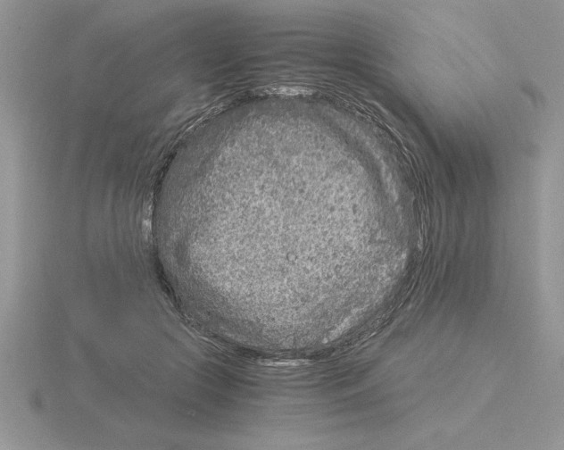 X0000115820553200912111253