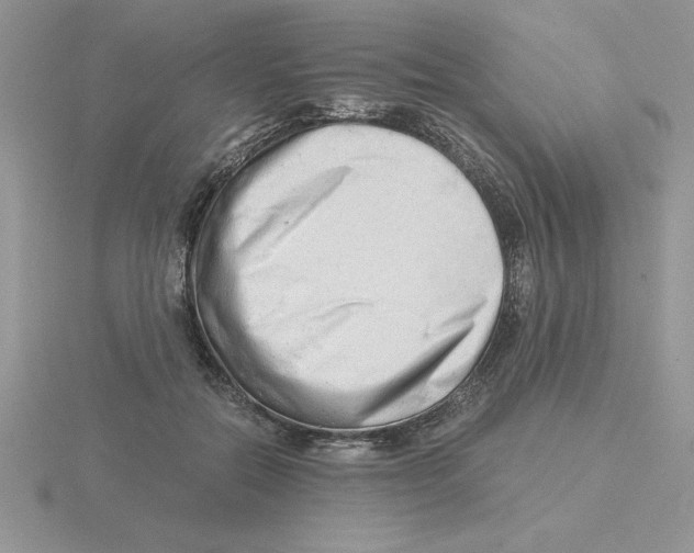 X0000115820554200912111253