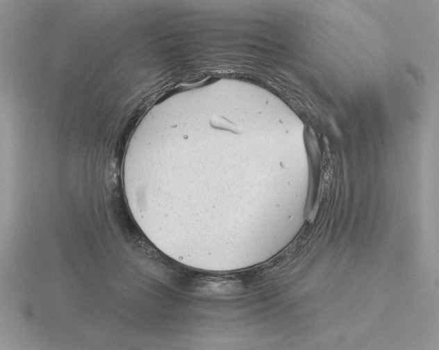 X0000115820555200912111253