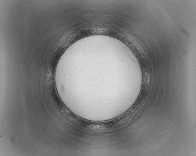 X0000115820557200912111254