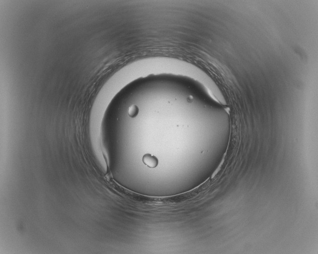 X0000115820558200912111254