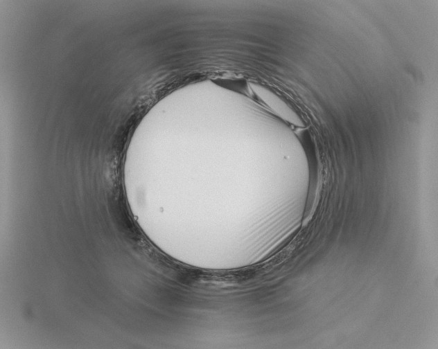 X0000115820559200912111254