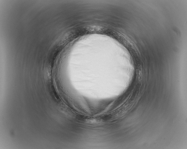 X0000115820561200912111254