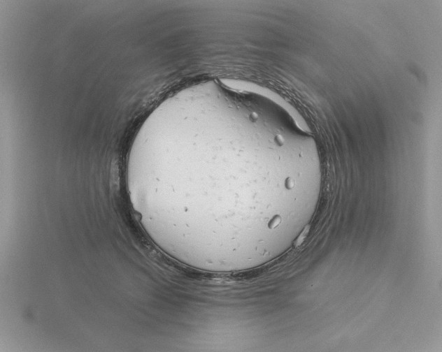 X0000115820562200912111254