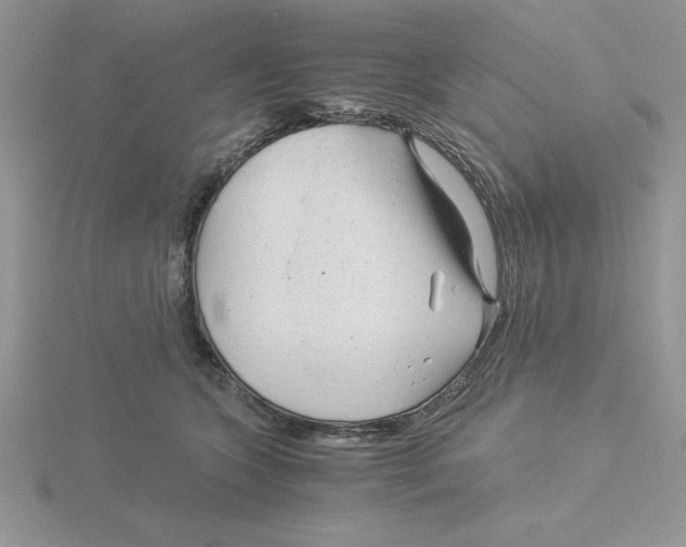 X0000115820563200912111254