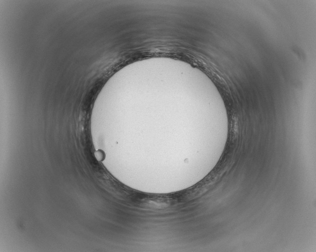 X0000115820567200912111254