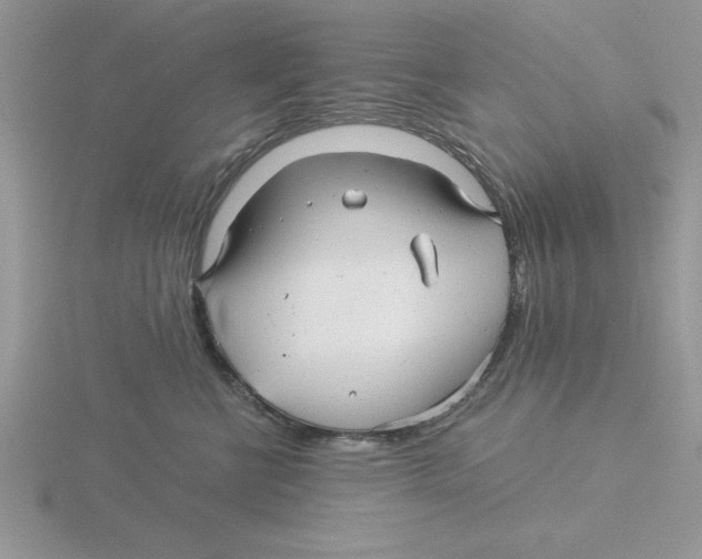 X0000115820570200912111254