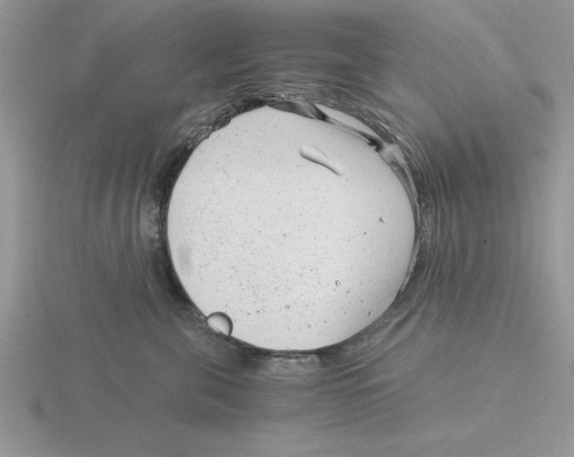 X0000115820571200912111254