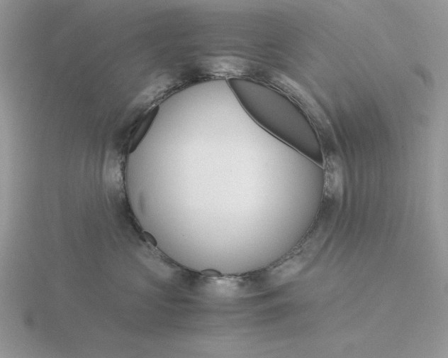 X0000115820573200912111254