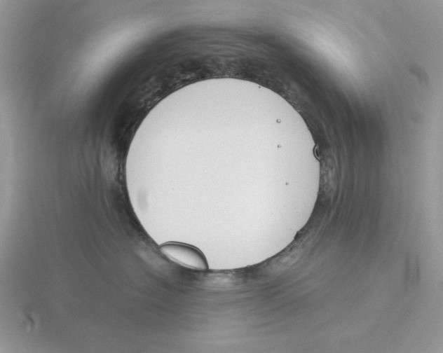 X0000115820574200912111254