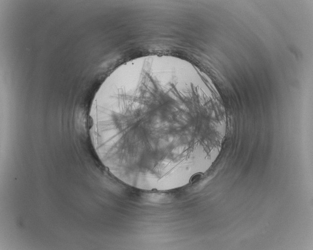 X0000115820575200912111254