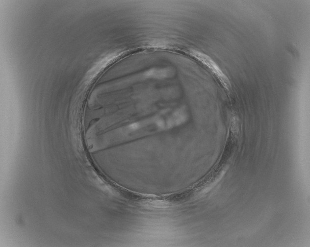 X0000115820577200912111253