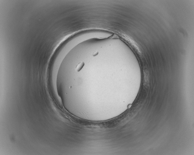 X0000115820580200912111253