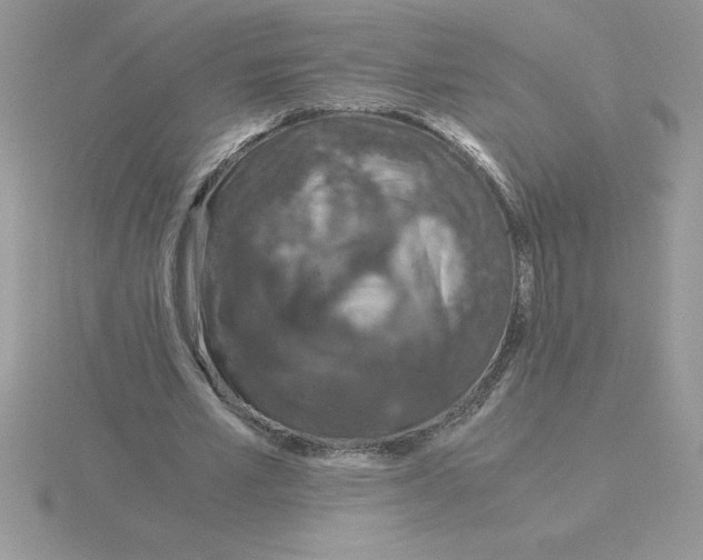 X0000115820581200912111253