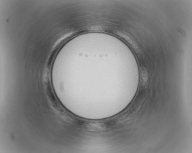 X0000115820583200912111253