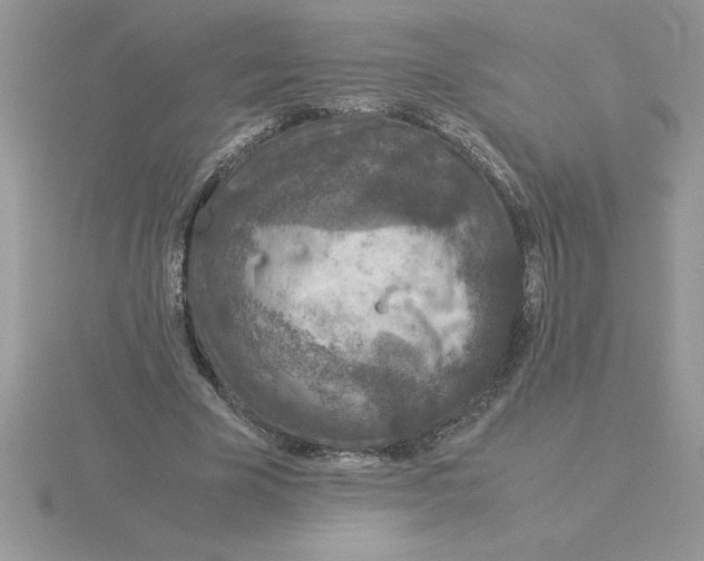 X0000115820585200912111253