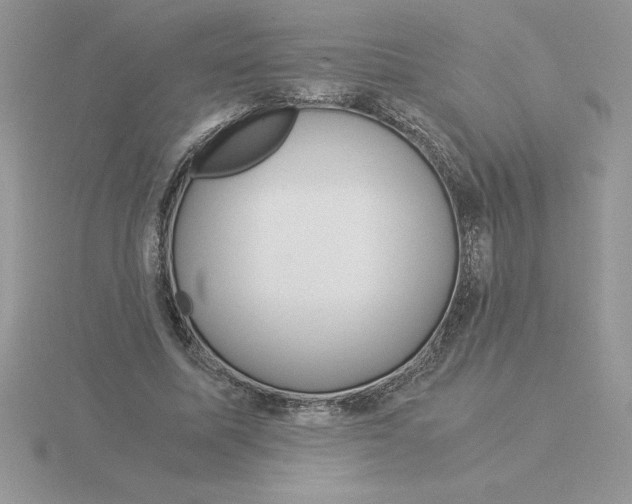 X0000115820587200912111253