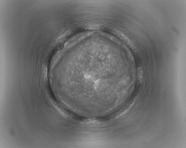 X0000115820589200912111253