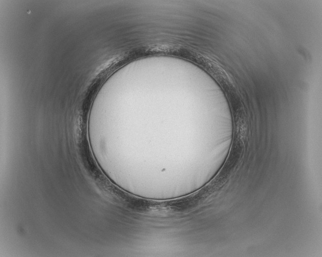 X0000115820591200912111253