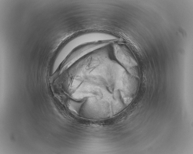 X0000115820592200912111253