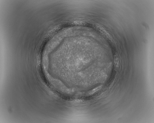 X0000115820593200912111253