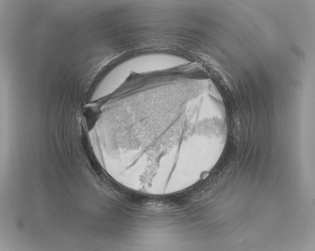 X0000115820596200912111253