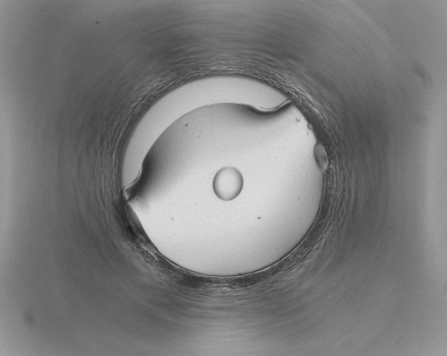 X0000115820597200912111253