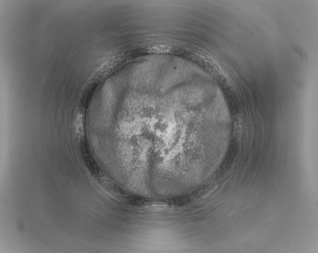 X0000115820598200912111253