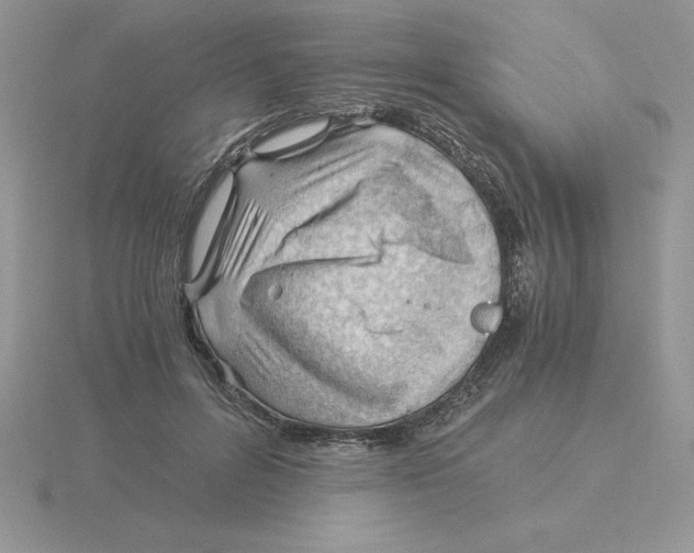 X0000115820600200912111253