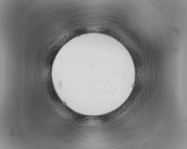 X0000115820601200912111253