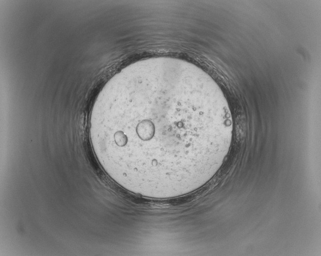 X0000115820605200912111253